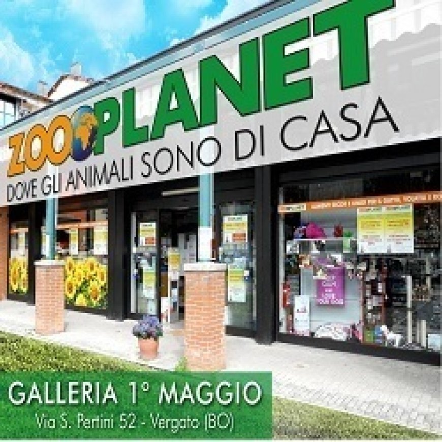 Vergato Zooplanet 051 6740212