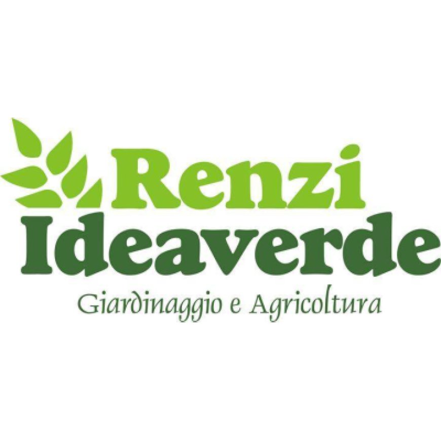 San clemente Ideaverde di Renzi Marco 0541 784045