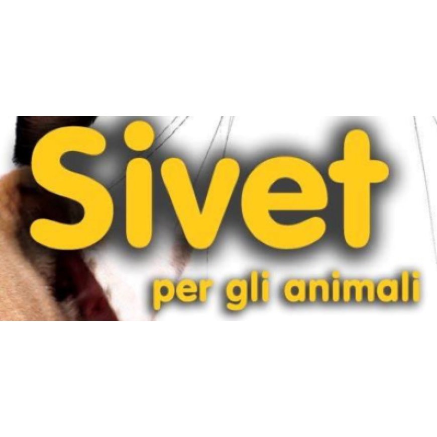 Russi Sivet Articoli per Animali 0544 581766