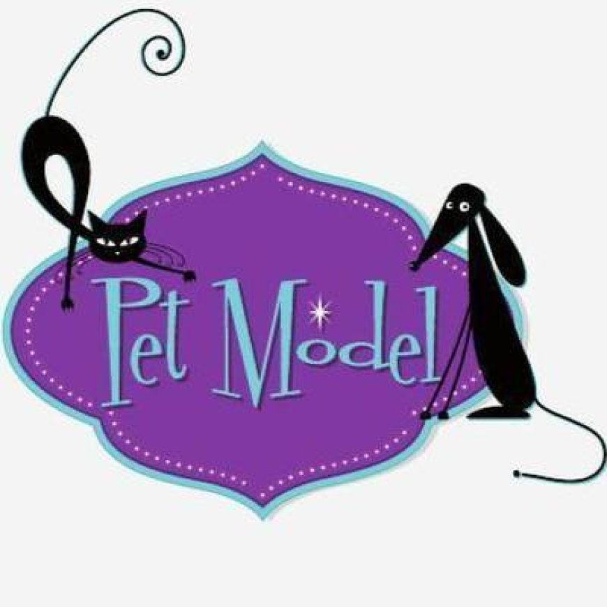 Roma Pet Model Toeletta ed Accessori per Animali 06 632514