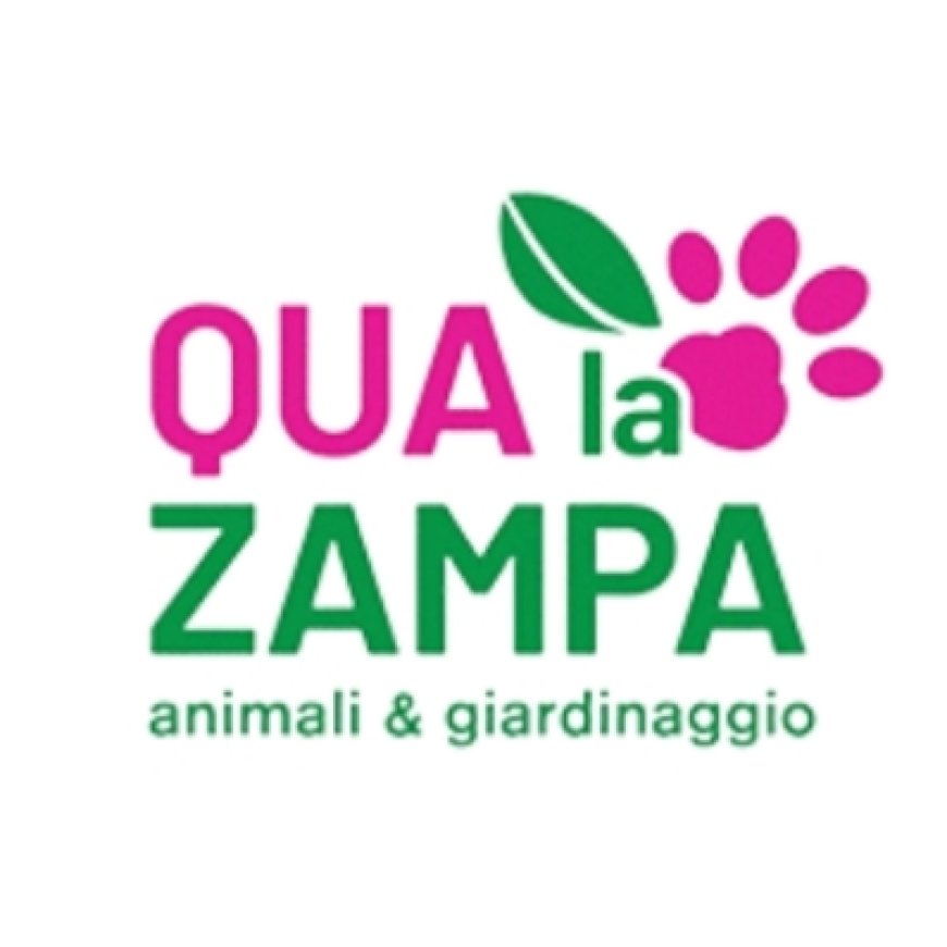 Rimini Qua La Zampa 338 7950965