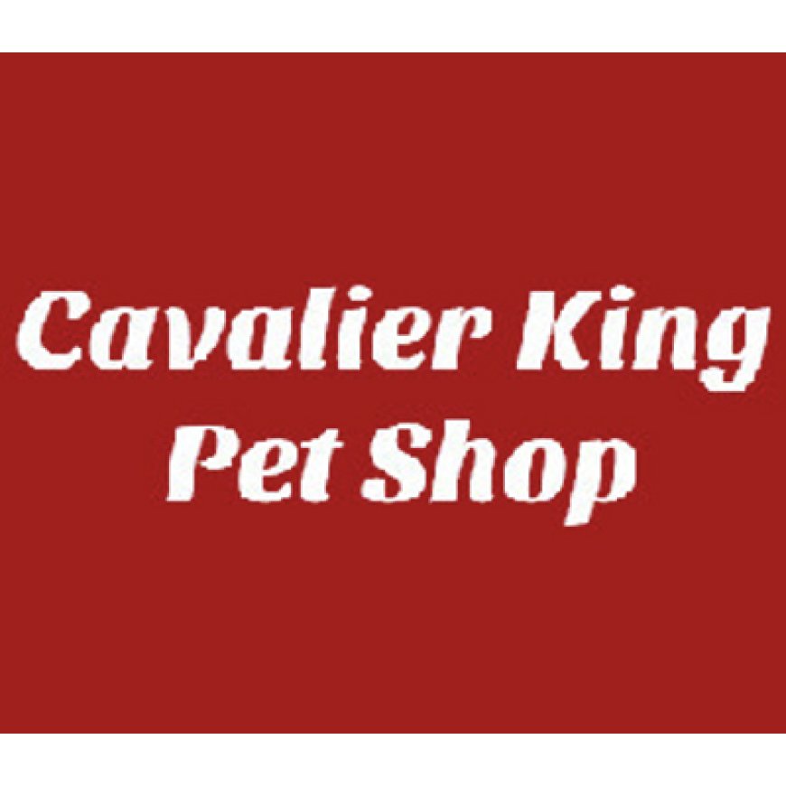 Rimini Cavalier King Pet Shop 0541 1410636