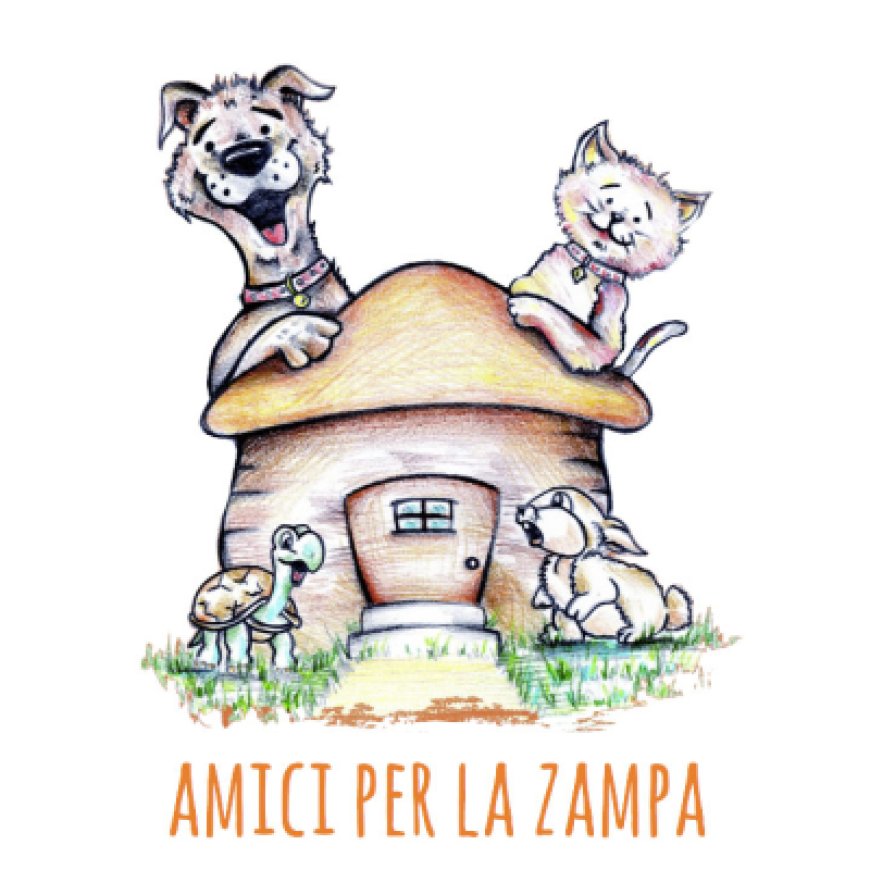 Pozzuoli Amici x la Zampa Pozzuoli 349 6625341