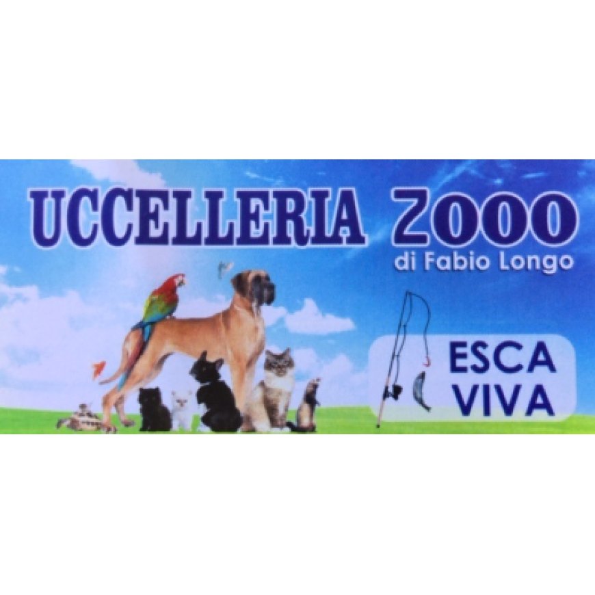 Paola Uccelleria 2000 - Madagascarshop.it 391 4144675