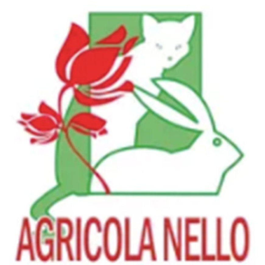Nettuno Agricola Nello di Brachini Francesco 06 9806974