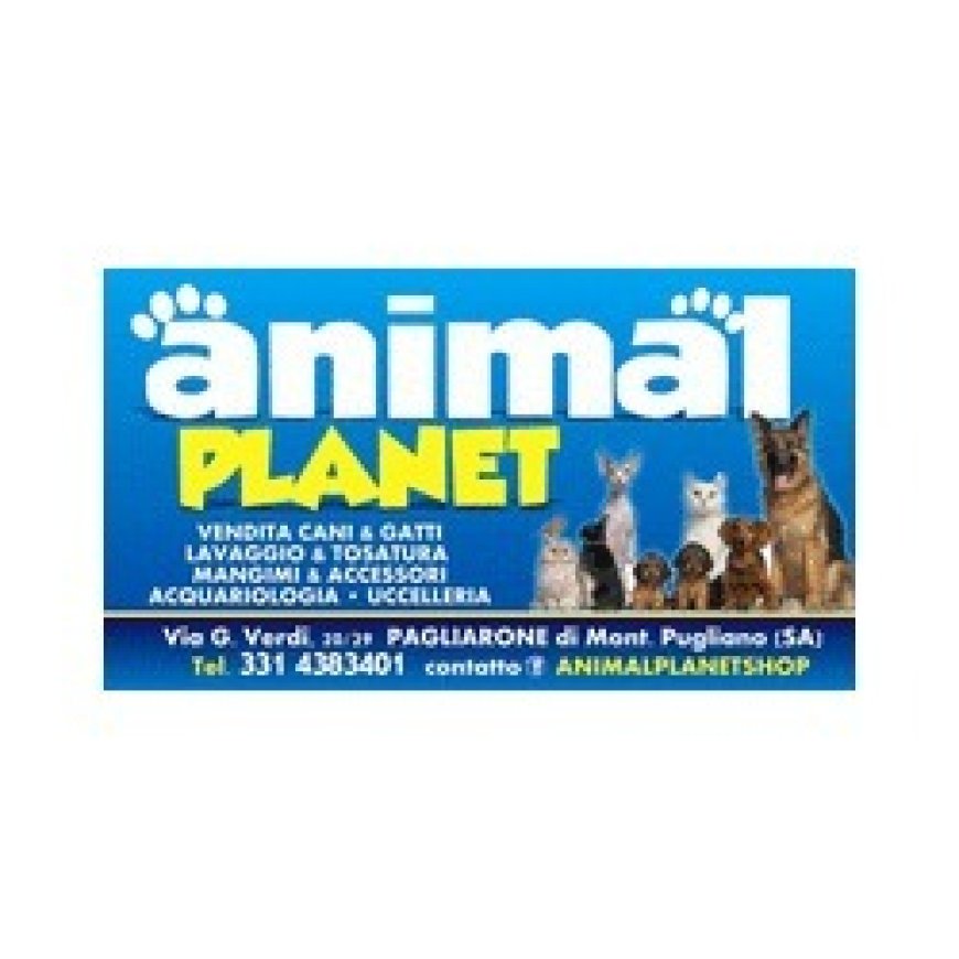 Montecorvino pugliano Animal Planet 331 4383401