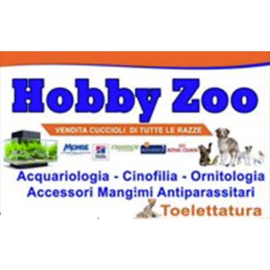 Catanzaro Hobby Zoo 0961 422085