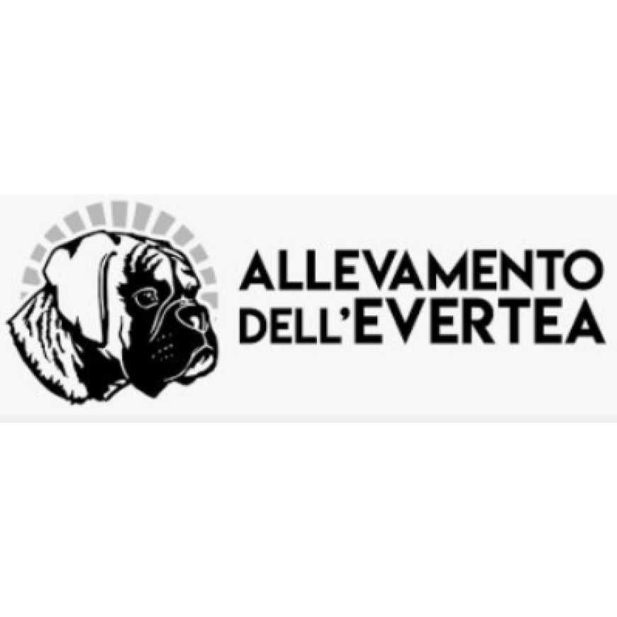 Tovo san giacomo Allevamento dell&#039;&#039;Evertea 019 648829