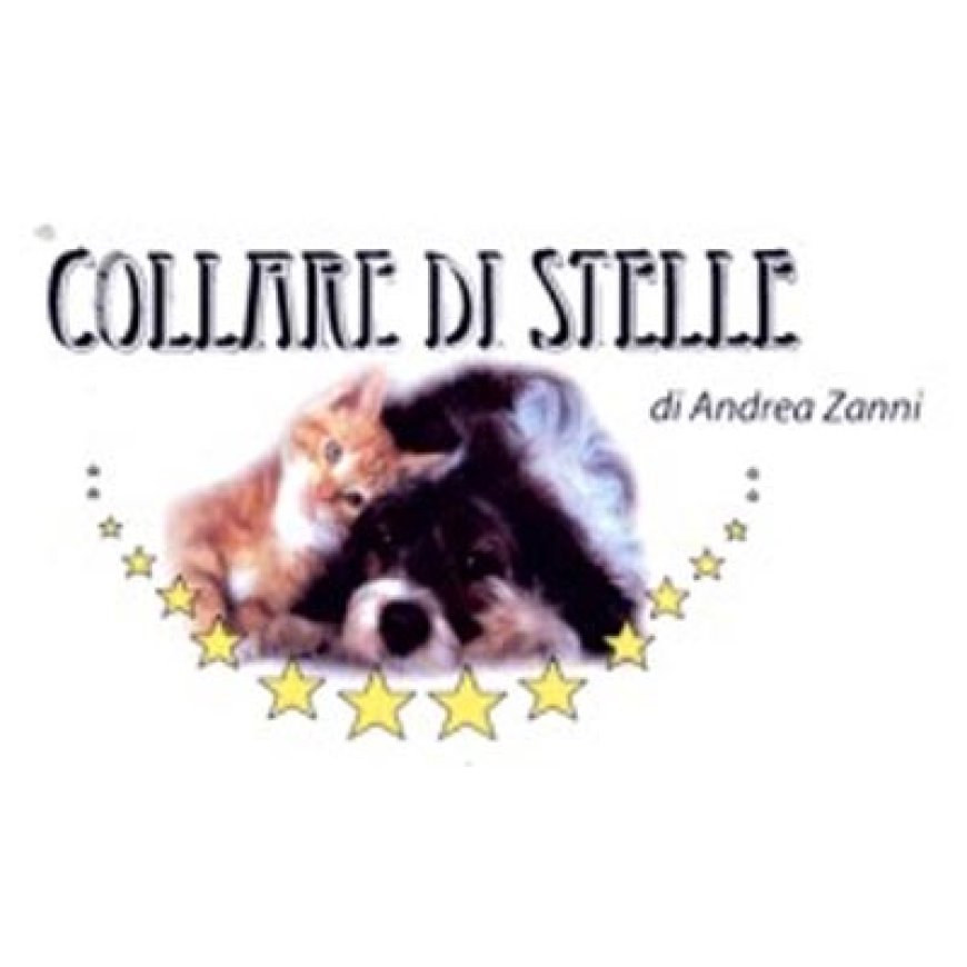 Milano Collare di Stelle 02 29513539