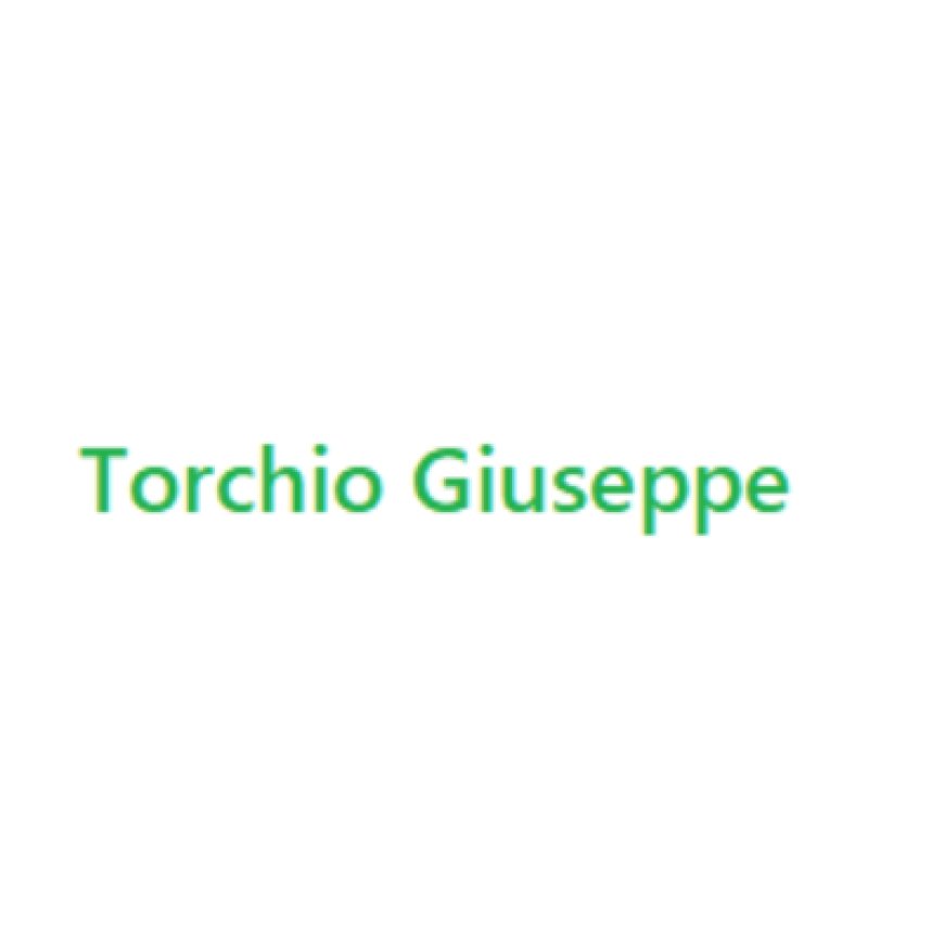 Cremona Torchio Giovanni 0372 434773