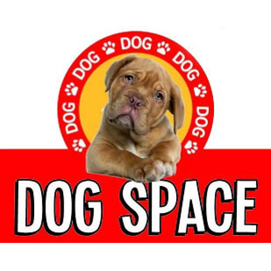 Camerano Dog Space 339 7011410