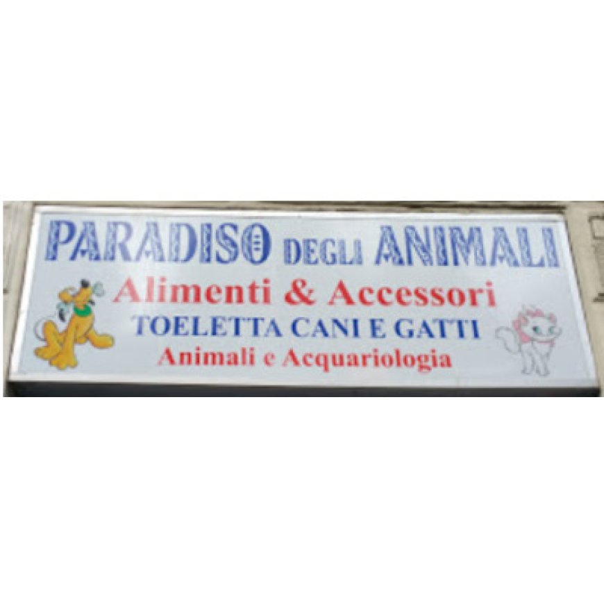 Torino Paradiso degli animali 349 3694631