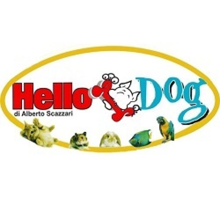 Sava Hello Dog 099 9726390