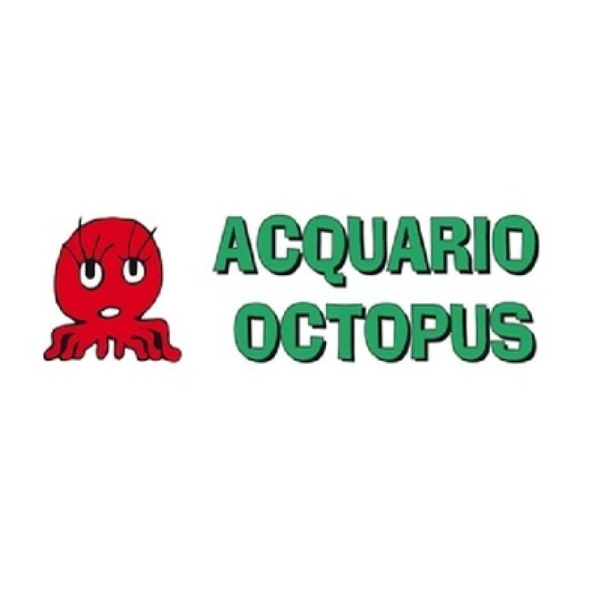 Quart Acquario Octopus 0165 765278