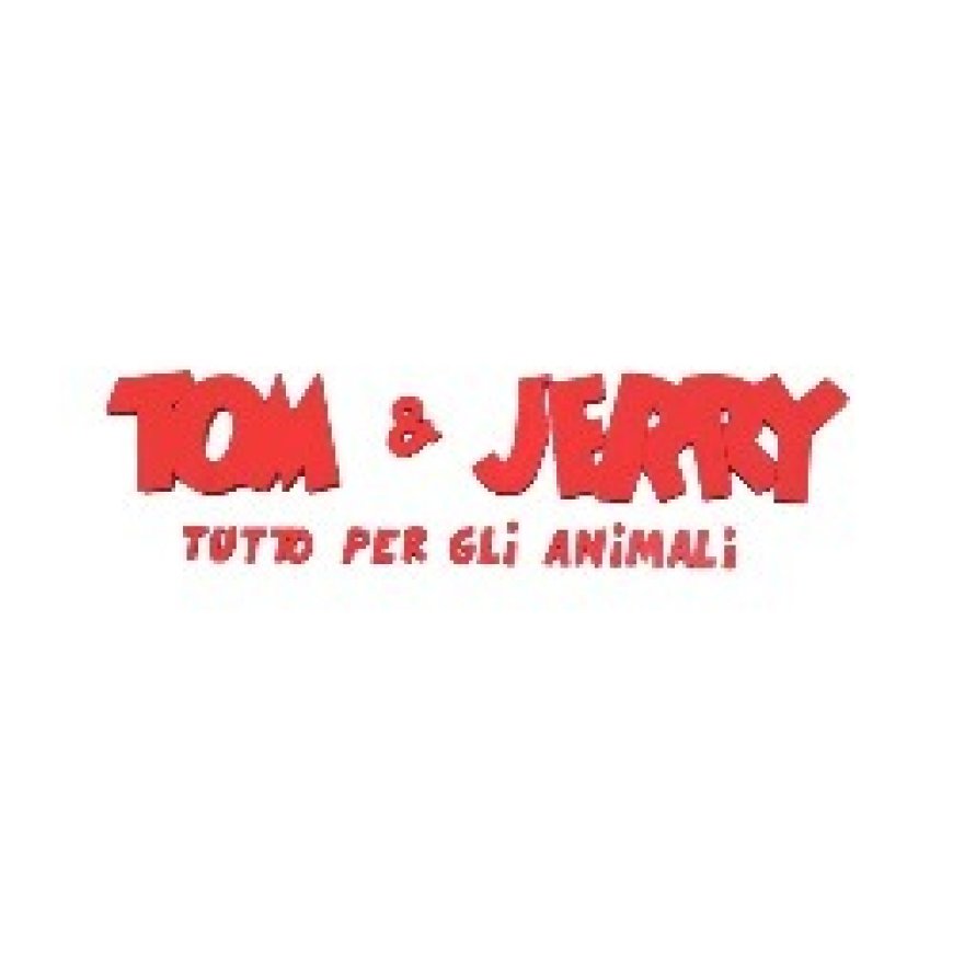 Pozzallo Tom &amp;amp; Jerry 331 5387344