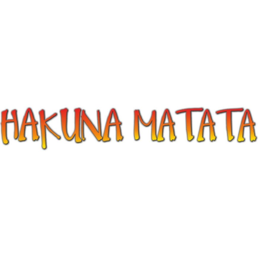 Palermo Hakuna Matata di Vincenzo Messina 091 7816642