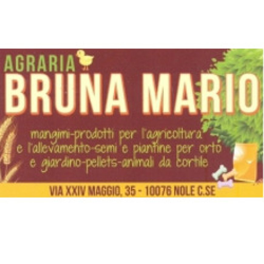Nole Agricoltura Bruna Mario 011 9297148