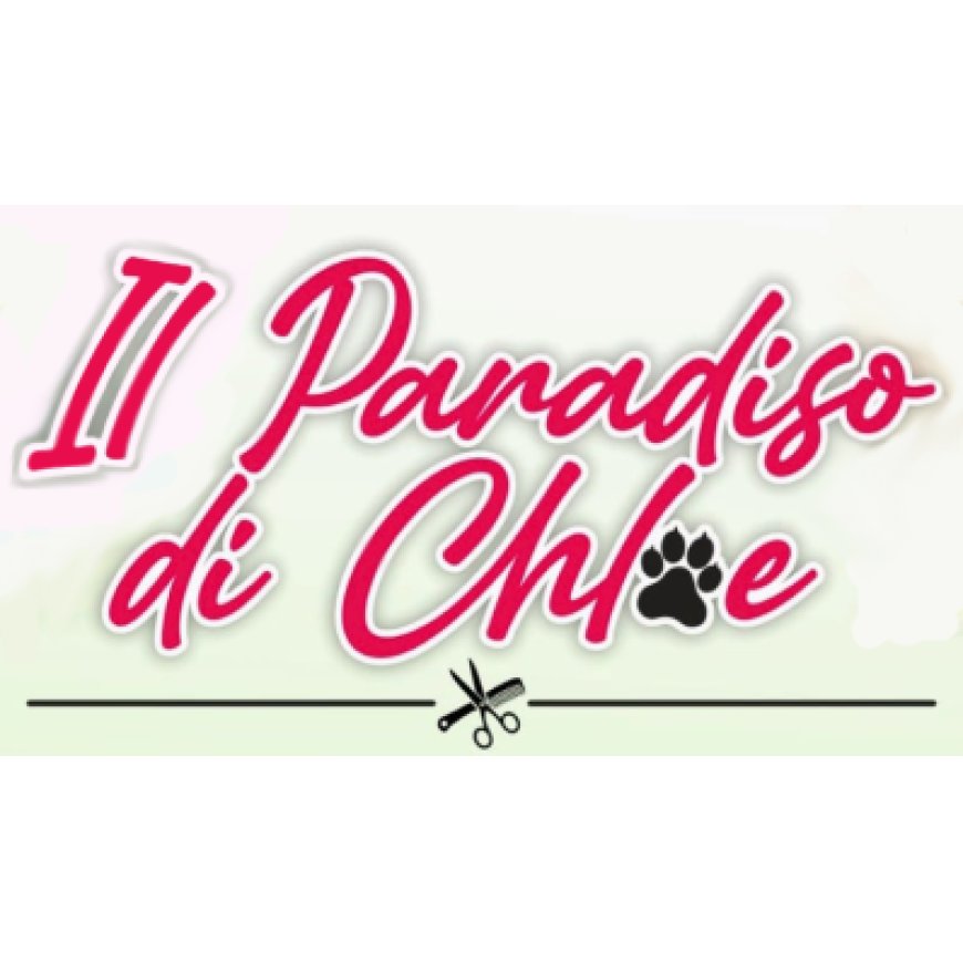 Niscemi Il paradiso di Chloe  - Toelettatura - Rosario Cantaro 391 3438905