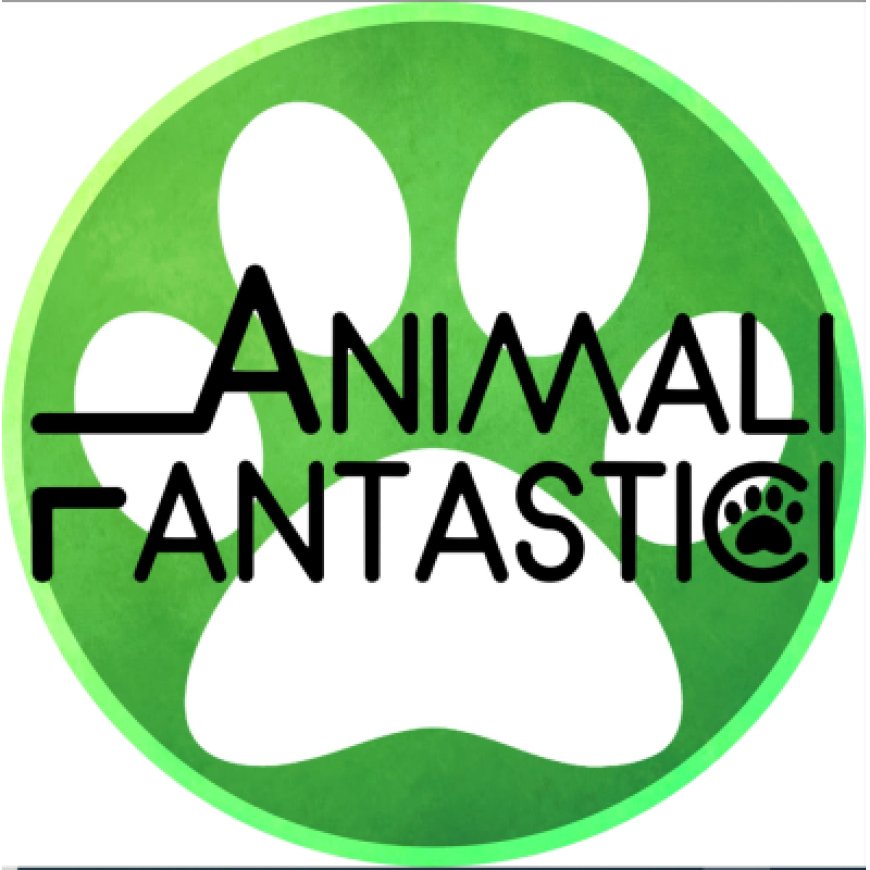 Gioia del colle Animali Fantastici 329 6027153