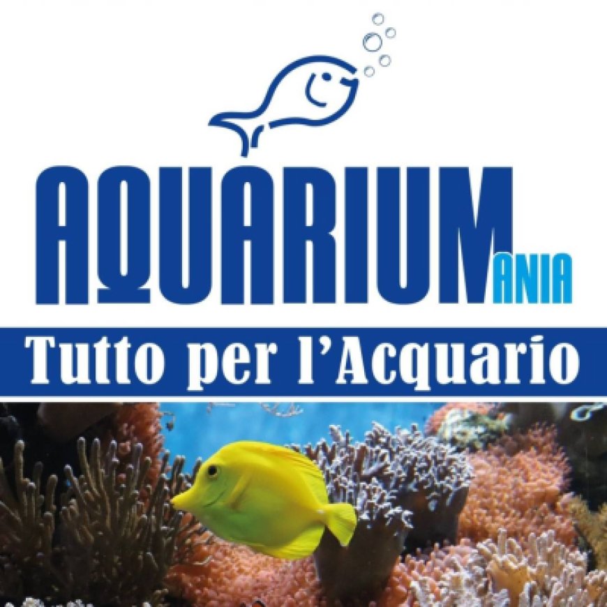 Fiumefreddo di sicilia Aquariumania 349 2951748