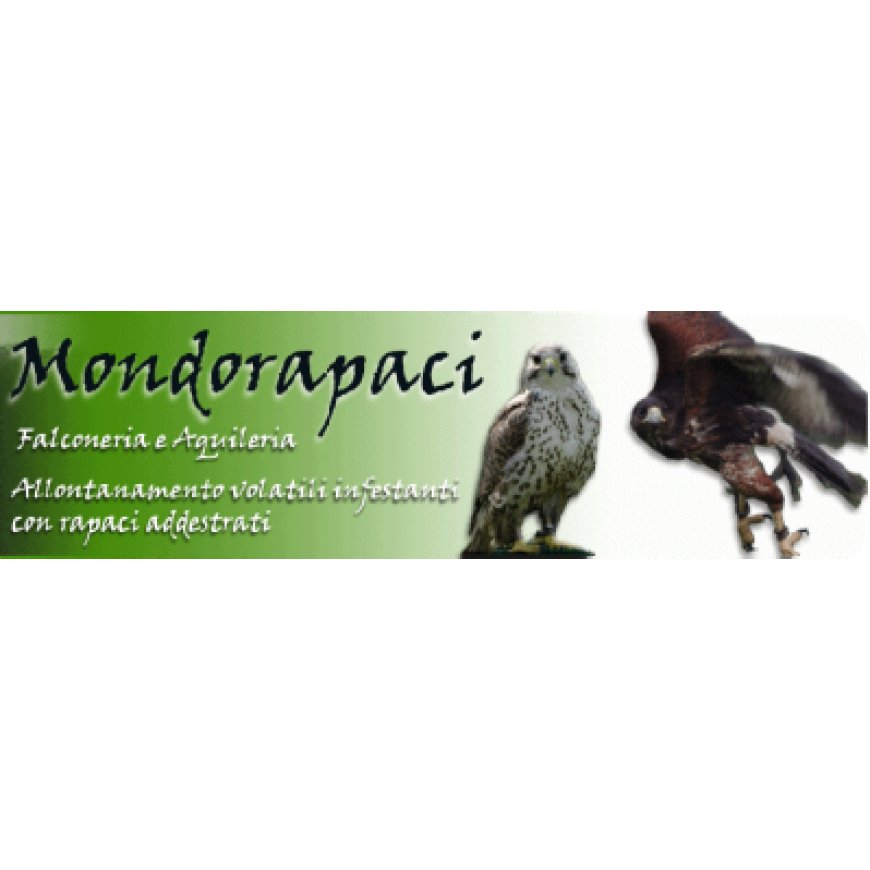 Devesi Mondorapaci 333 8203489