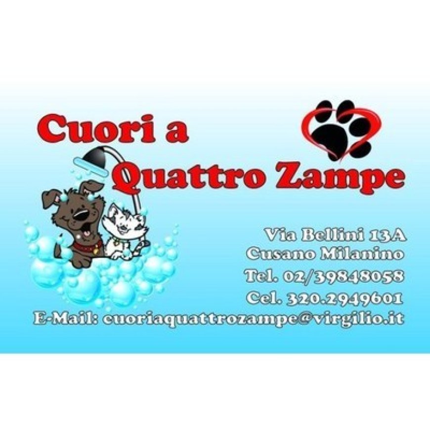 Cusano milanino Cuori a Quattro Zampe 02 39848058