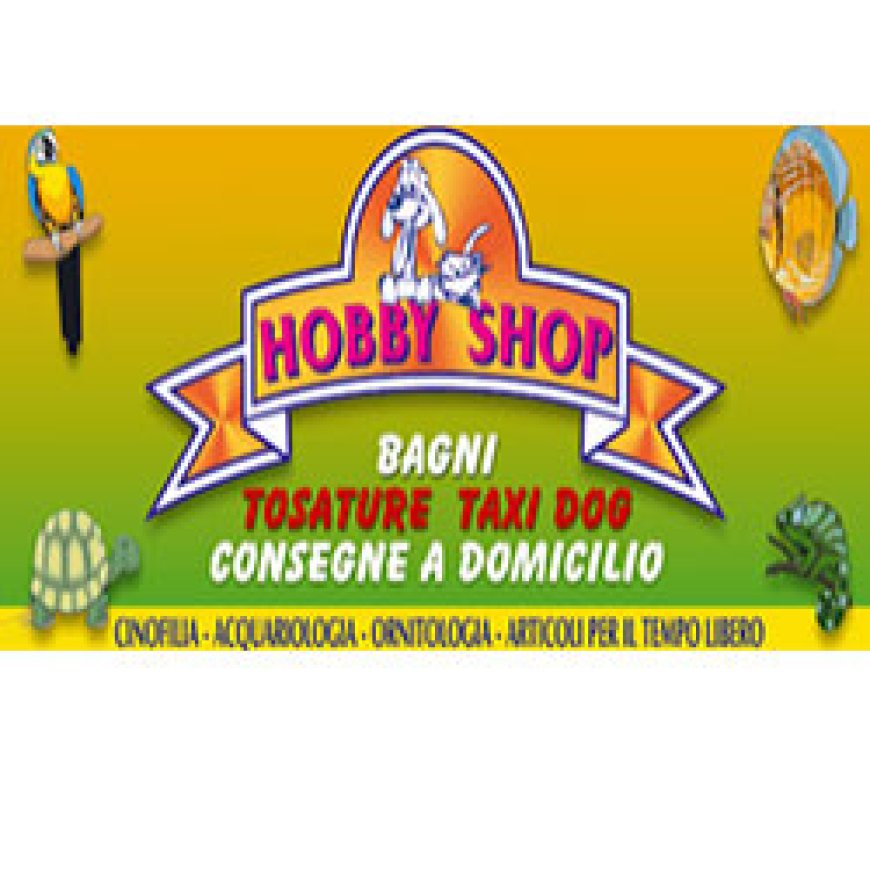 Casamassima Hobby Shop 080 677002