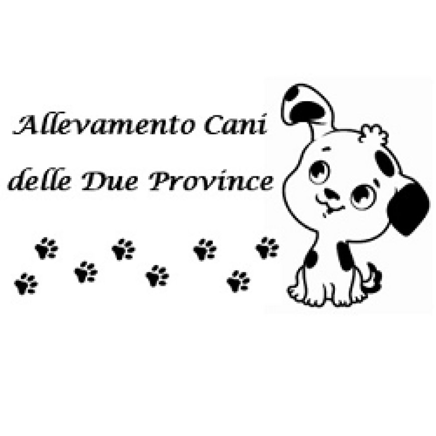 Carmagnola Allevamento Cani Delle Due Province 333 3930169