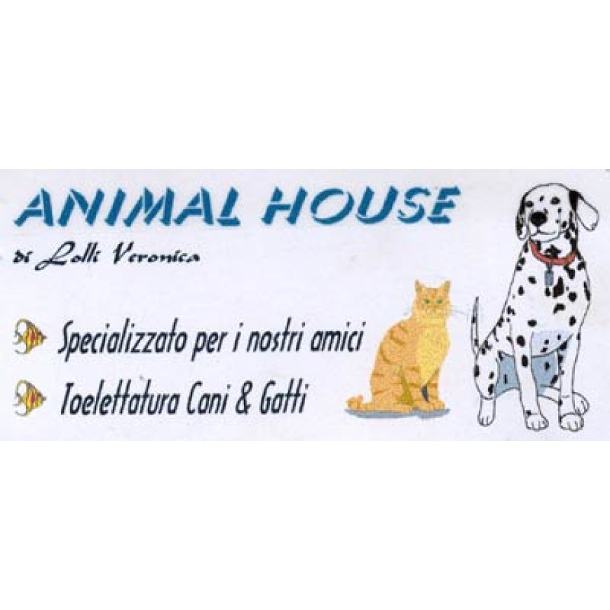 Bologna Animal House 051 6330274