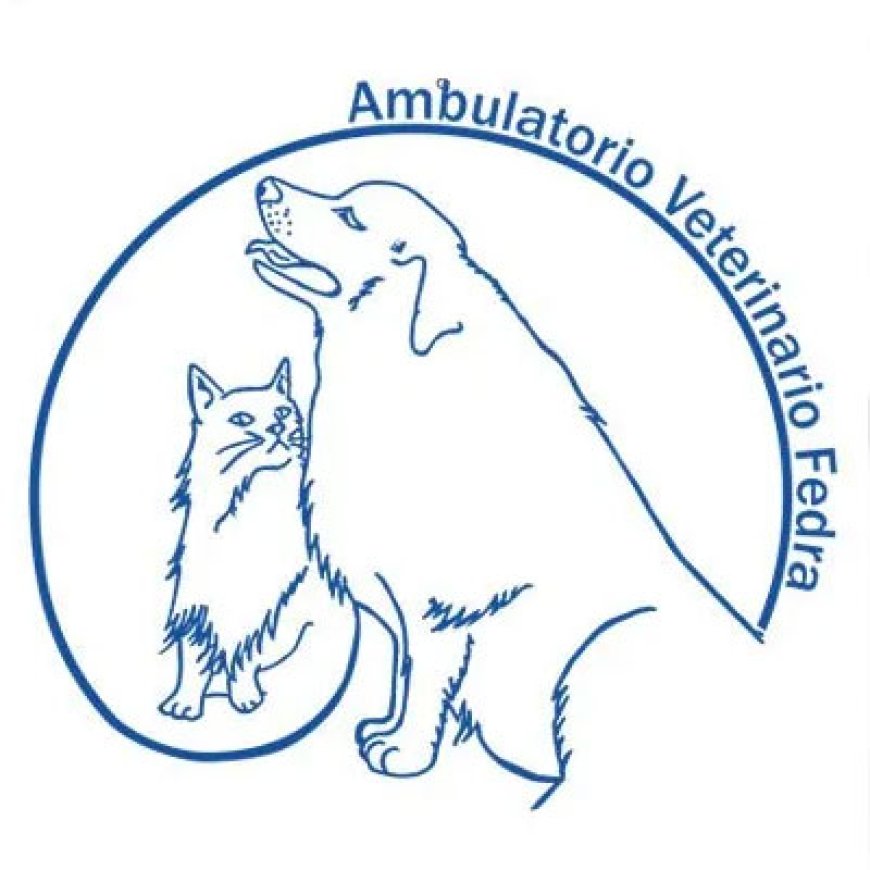 Sulmona Ambulatorio Veterinario Fedra 0864 251856