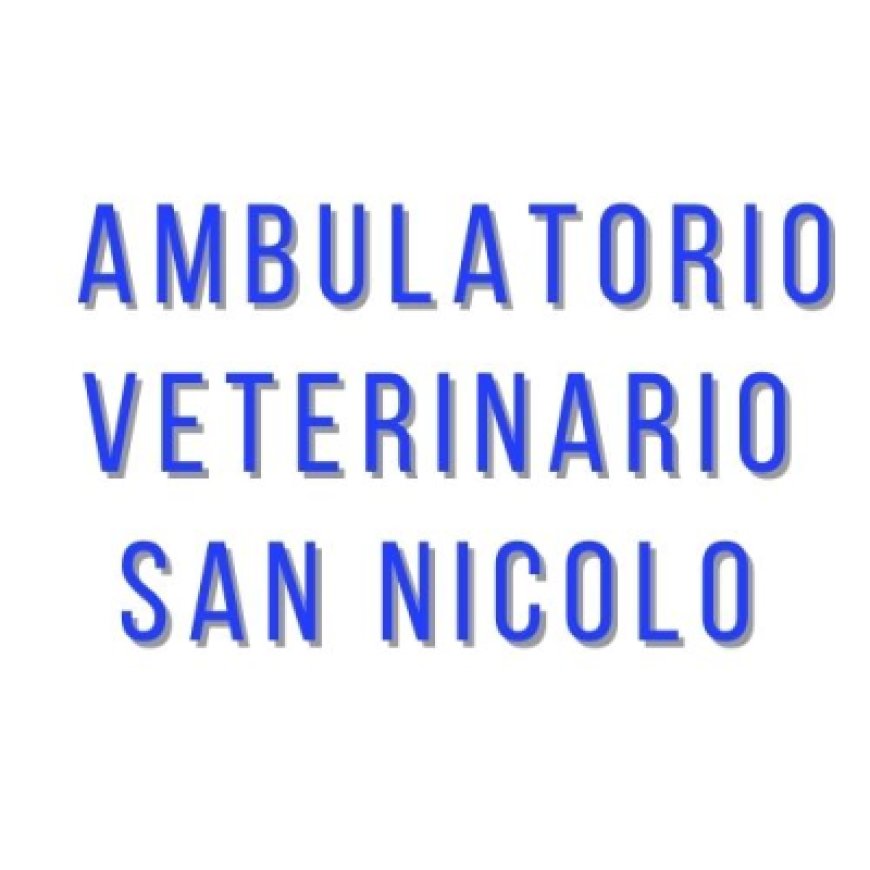 San nicolò a tordino Ambulatorio Veterinario S. Nicolo&#039;&#039; 0861 588978