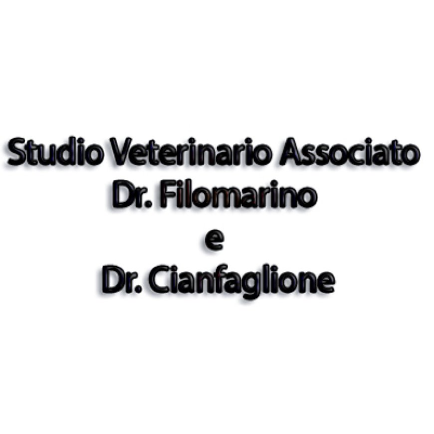 L&#039;&#039;aquila Medico Veterinario Dott.ssa Gigliola Filomarino c/o la struttura Vet4Pet 339 1898113