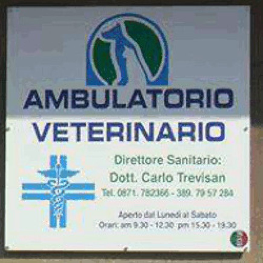Guardiagrele Ambulatorio Veterinario Trevisan Dr. Carlo 0871 782366