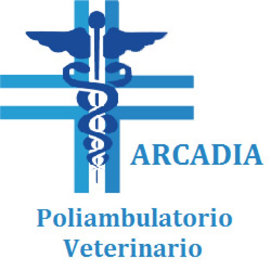 Montesilvano Ambulatorio Veterinario Arcadia 085 4682810
