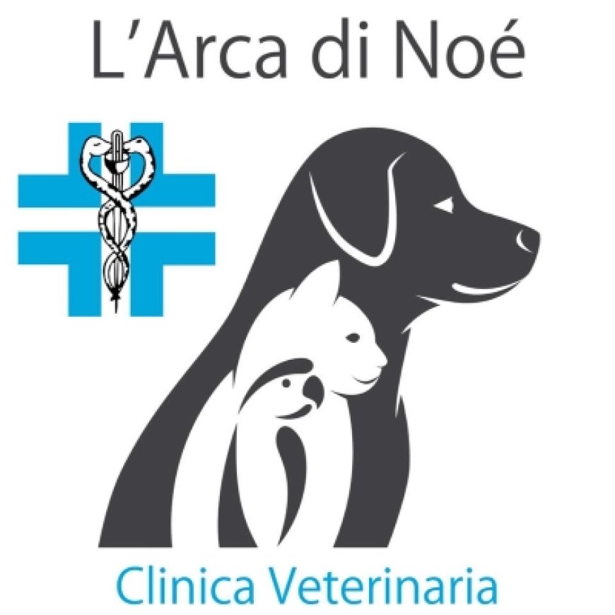 Chieti L&#039;&#039;Arca di Noè 348 5417361