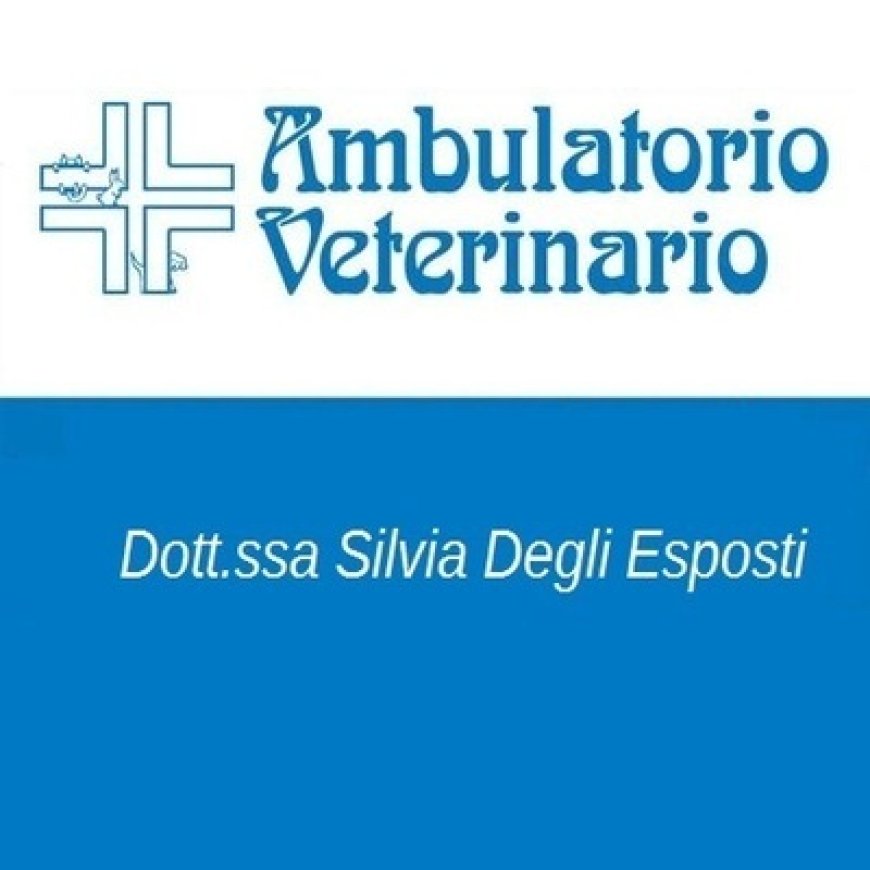 Zola predosa Ambulatorio Veterinario degli Esposti 051 4847267