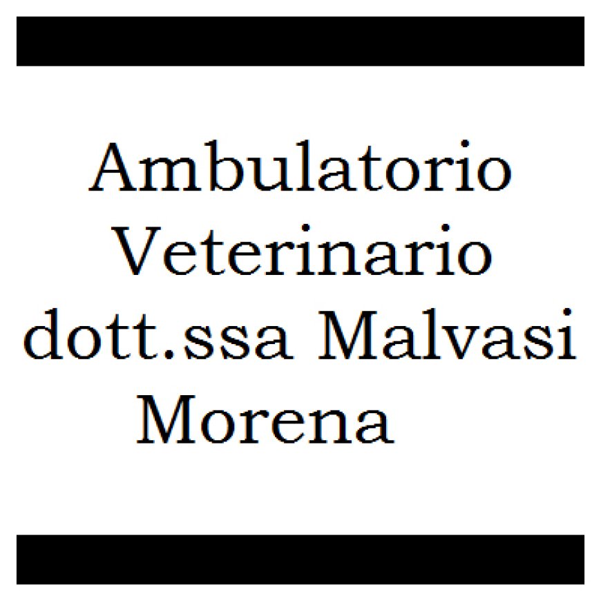 Soliera Ambulatorio Veterinario Dott.ssa Malavasi Morena 059 850492