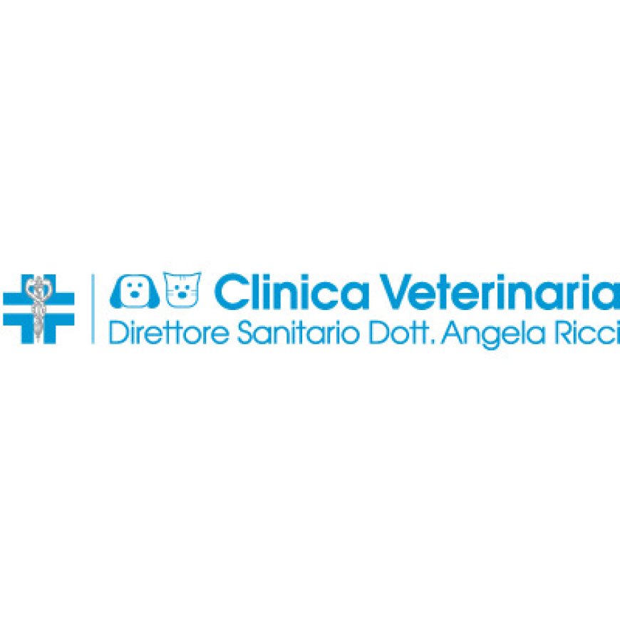 Serramazzoni Ambulatorio Veterinario Angela Ricci 0536 950085