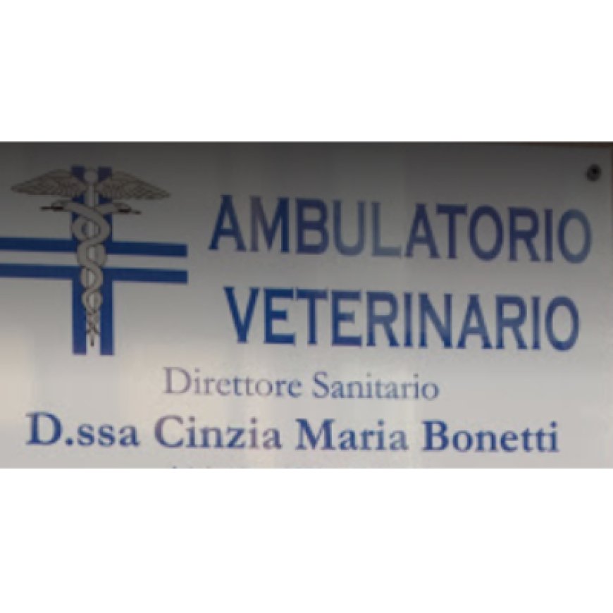 Savignano sul rubicone Ambulatorio Veterinario Bonetti Cinzia Maria 0541 944036