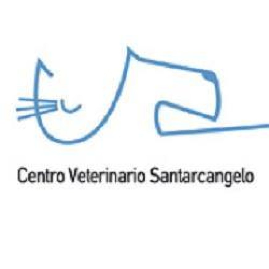 Santarcangelo di romagna Centro Veterinario Santarcangelo 0541 623523