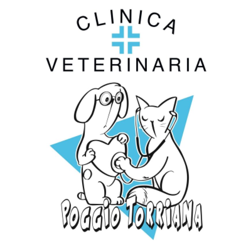 Sant&#039;&#039;andrea Clinica Veterinaria Poggio Torriana 375 6454858