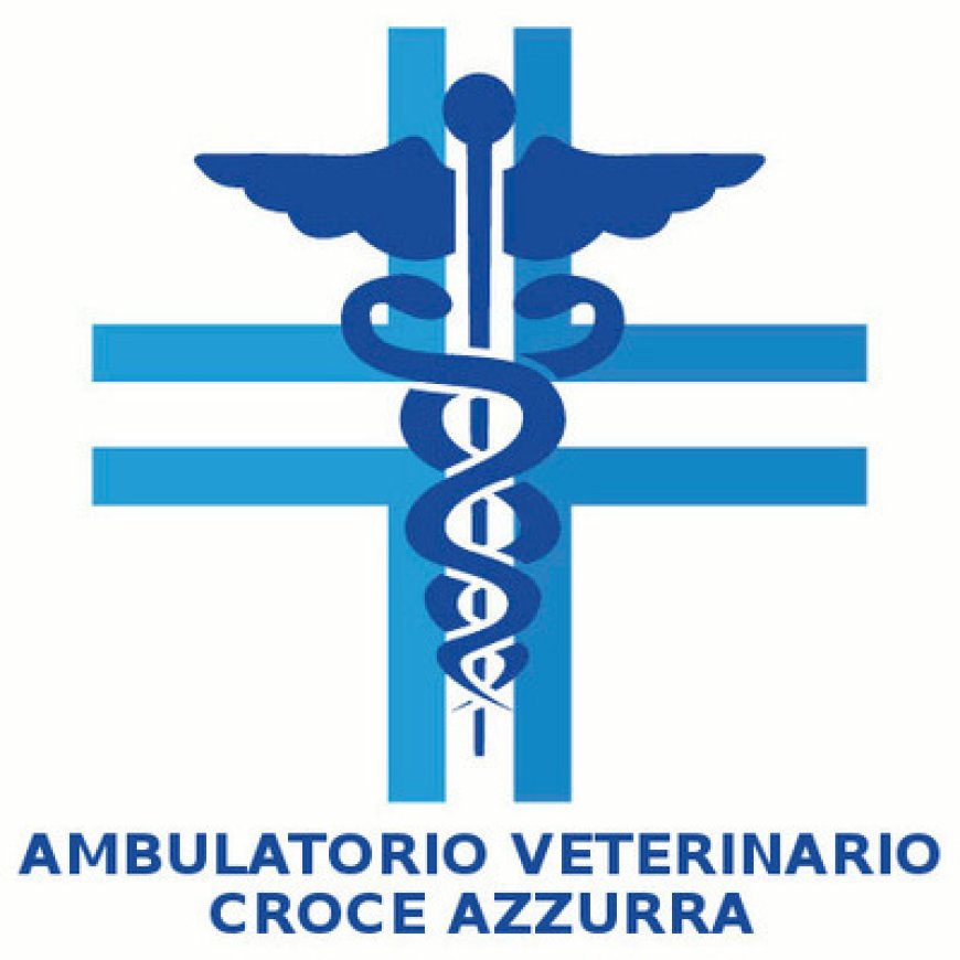 San michele di tiorre Ambulatorio Veterinario Croce Azzurra 0521 834636