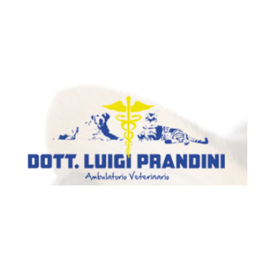 San felice sul panaro Ambulatorio Veterinario Dr. Prandini Luigi 0535 671320