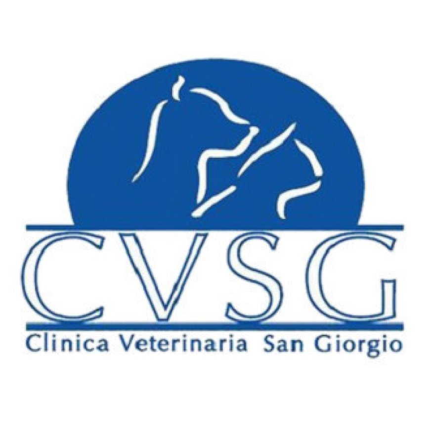 Reggio di calabria Clinica Veterinaria San Giorgio 0965 651607