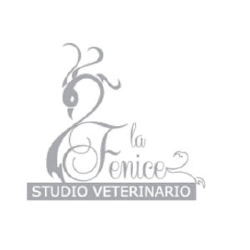 Ravenna Studio Veterinario La Fenice 0544 66967