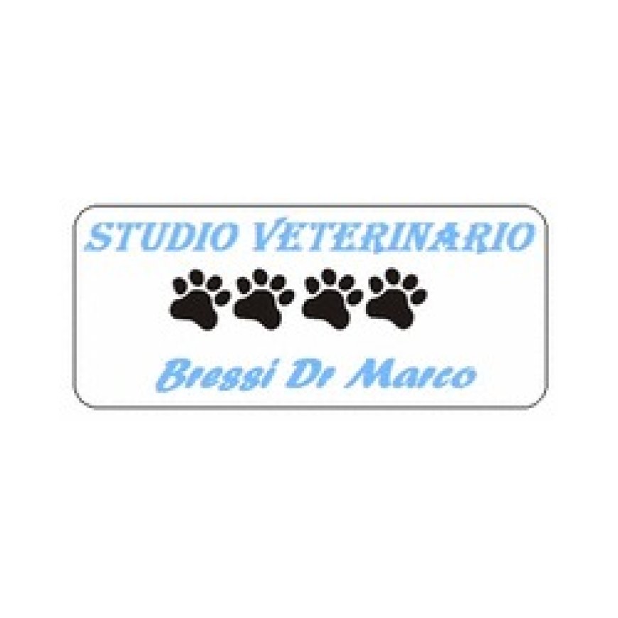 Piacenza Ambulatorio Veterinario Bressi 0523 330680