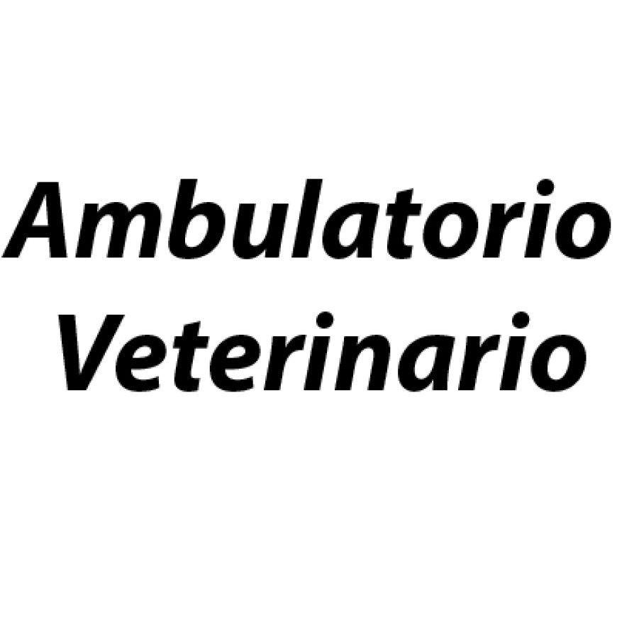 Pavia di udine Ambulatorio Veterinario 338 8273705