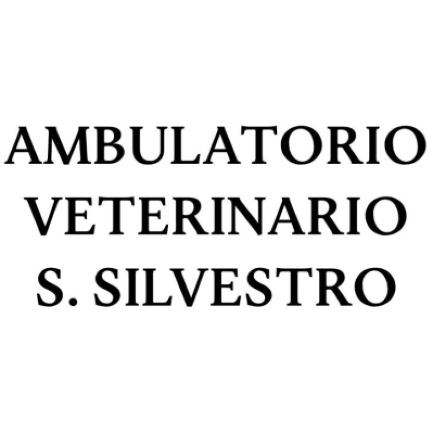 Nonantola Ambulatorio Veterinario S. Silvestro Dott. Silvia Melotti 059 544121