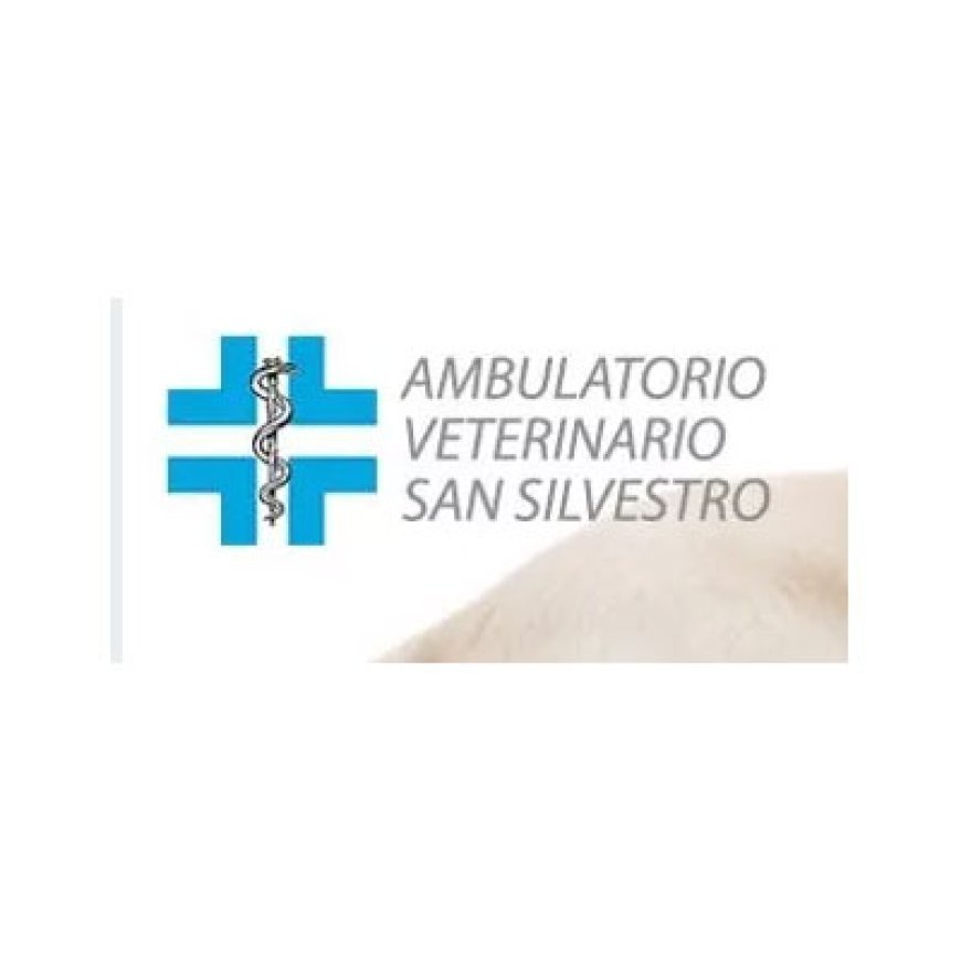 Nonantola Ambulatorio Veterinario S. Silvestro Dott. Silvia Melotti 059 5421876