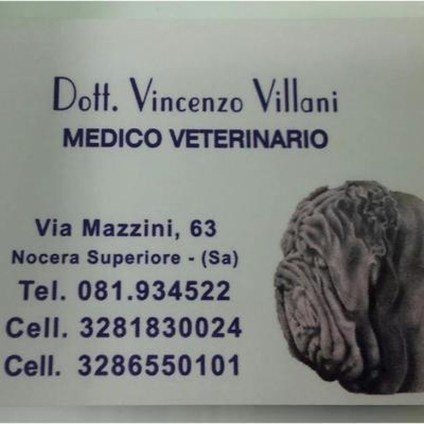 Nocera superiore Centro Medico Veterinario Villani Dr. Vincenzo 081 934522